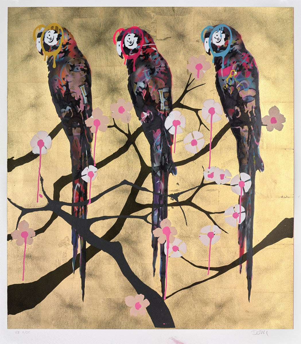 Polly Folly 11/25