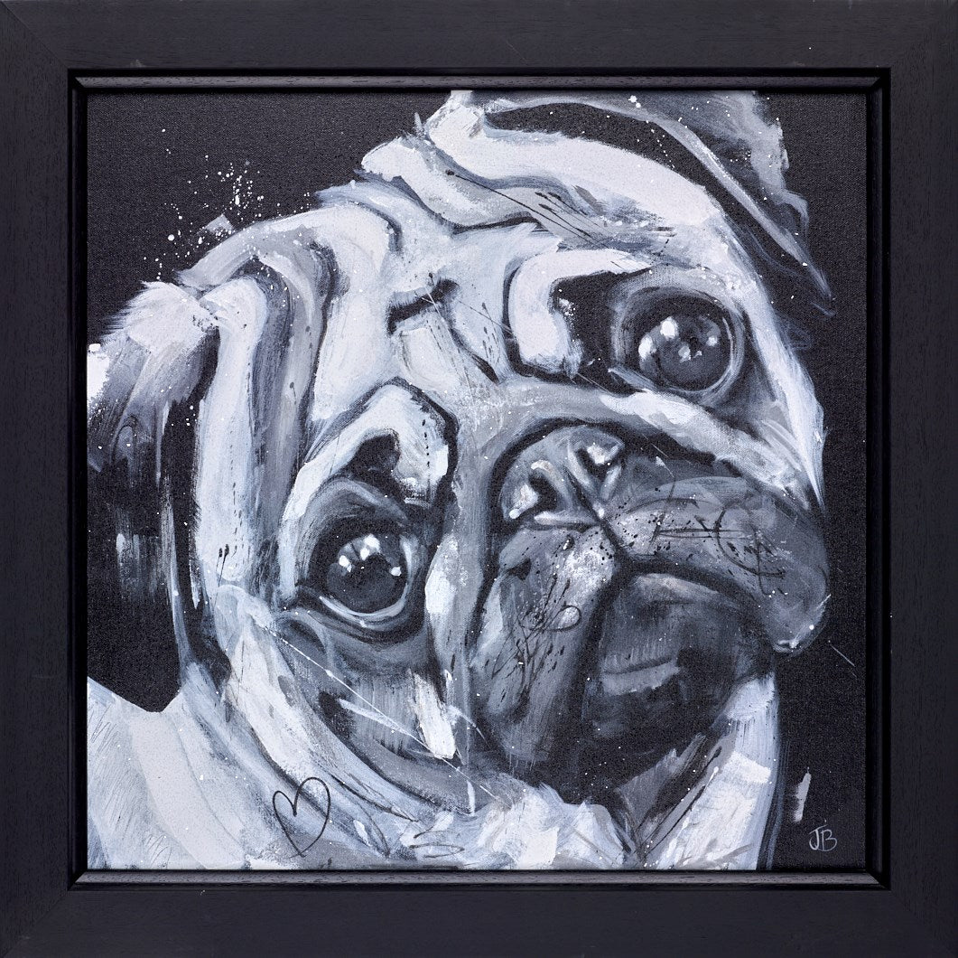 Diamonds are a Pug's Best Friend