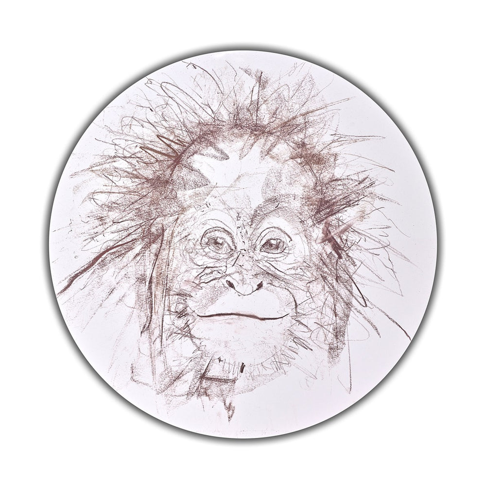 Baby Orangutan Study II