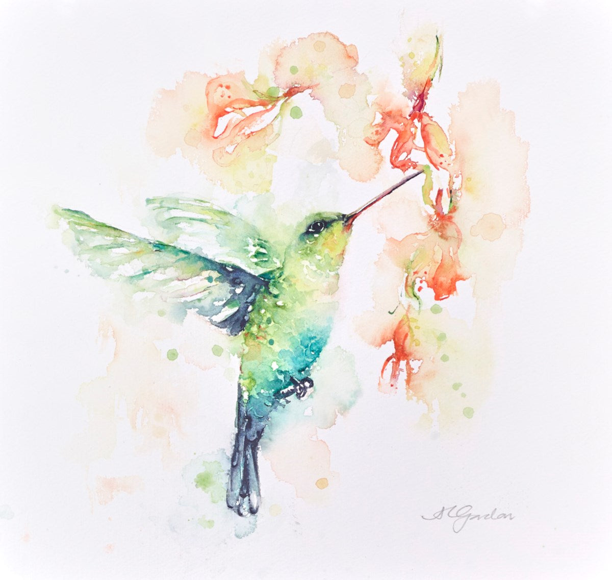 Among the Flowers - Hummingbird