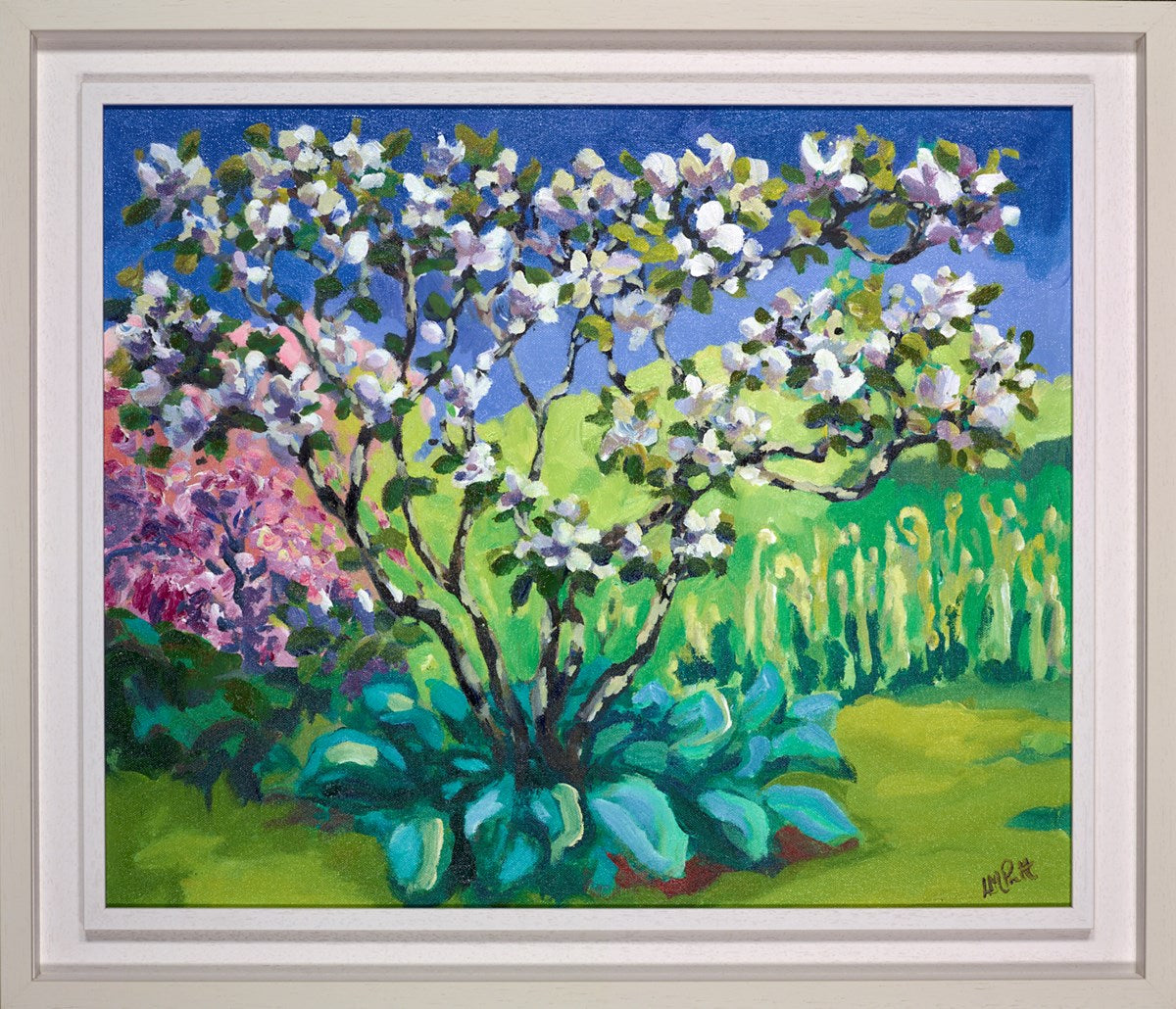 Magnolia and Hostas