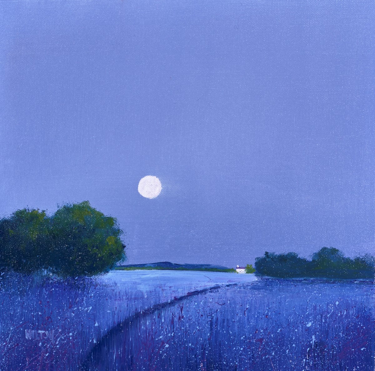 Moon Glow