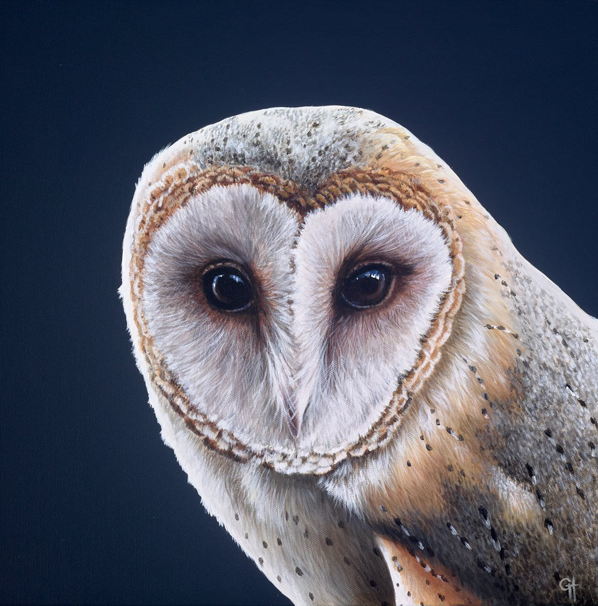 Owl II