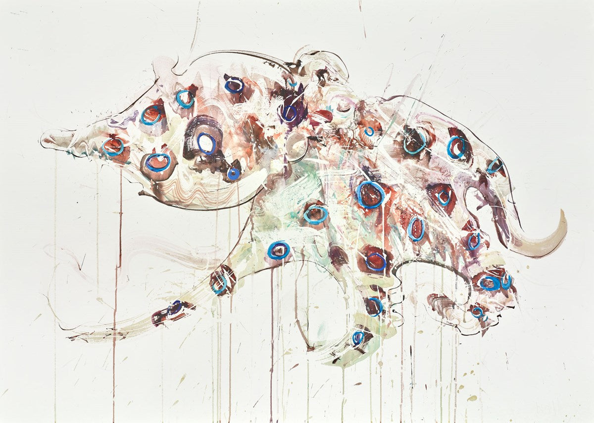 Blue Ringed Octopus II