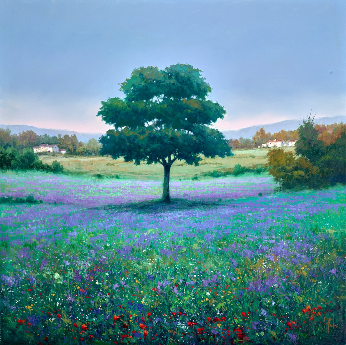 Campo De  Lilas