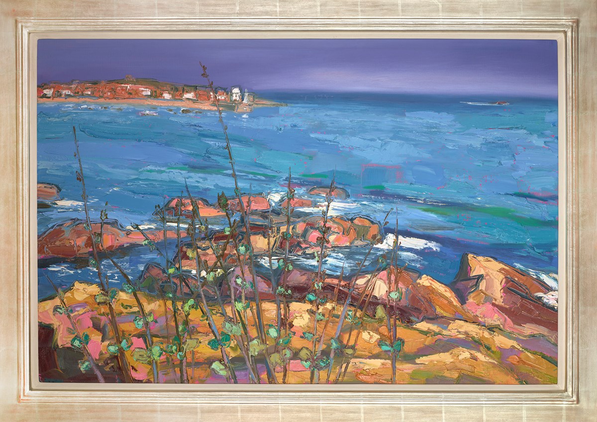 St Ives Harbour from Pedri Olva Rocks