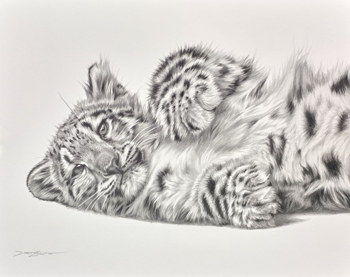 Lazy Afternoon