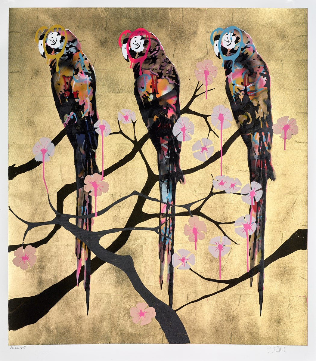 Polly Folly 22/25