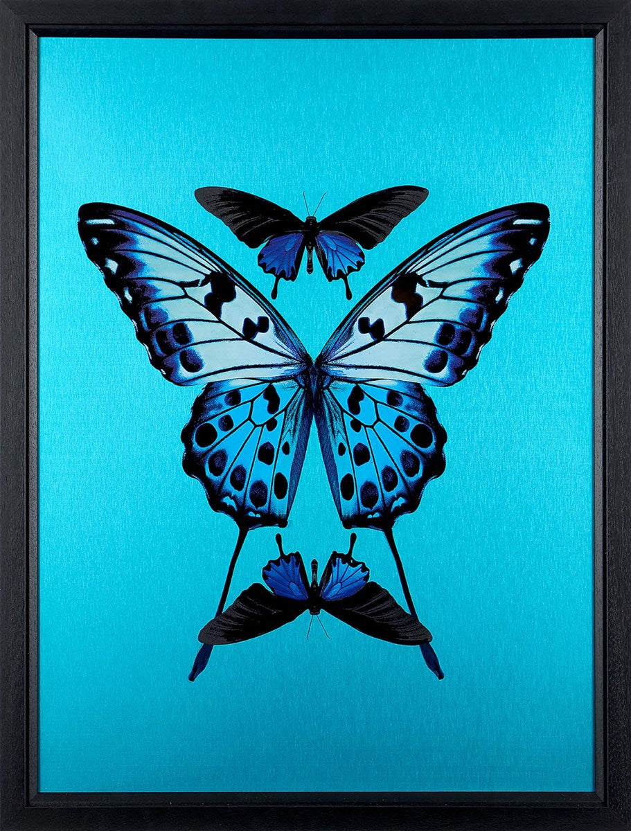 Transcend (Framed)