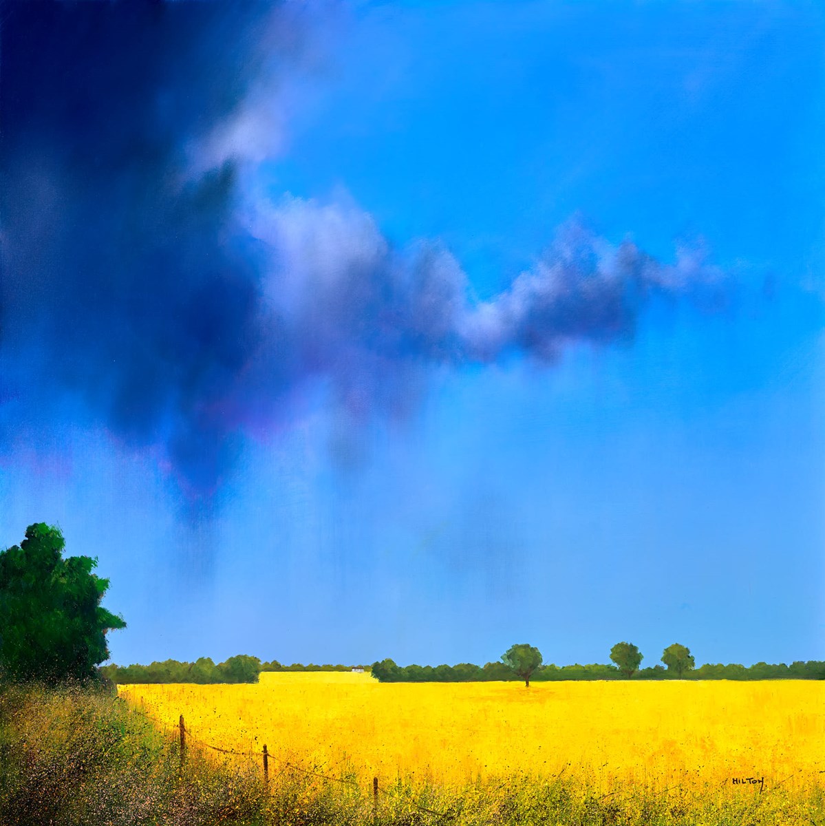 The Field Before the Rain