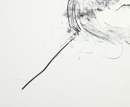 Apex Study II (Detail2)