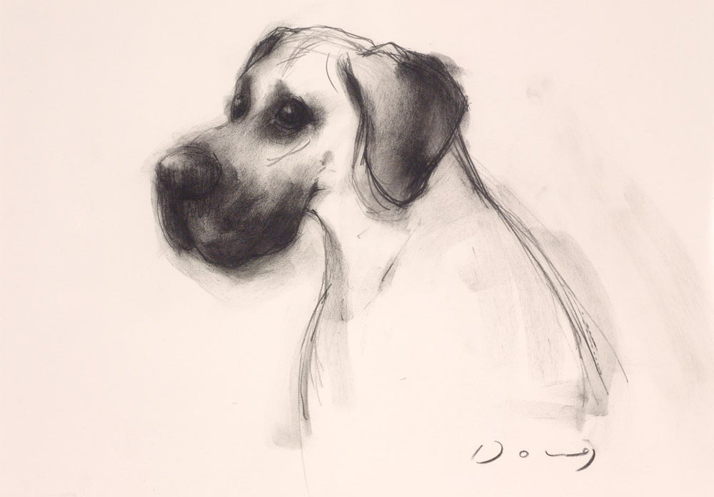 The Great Dane