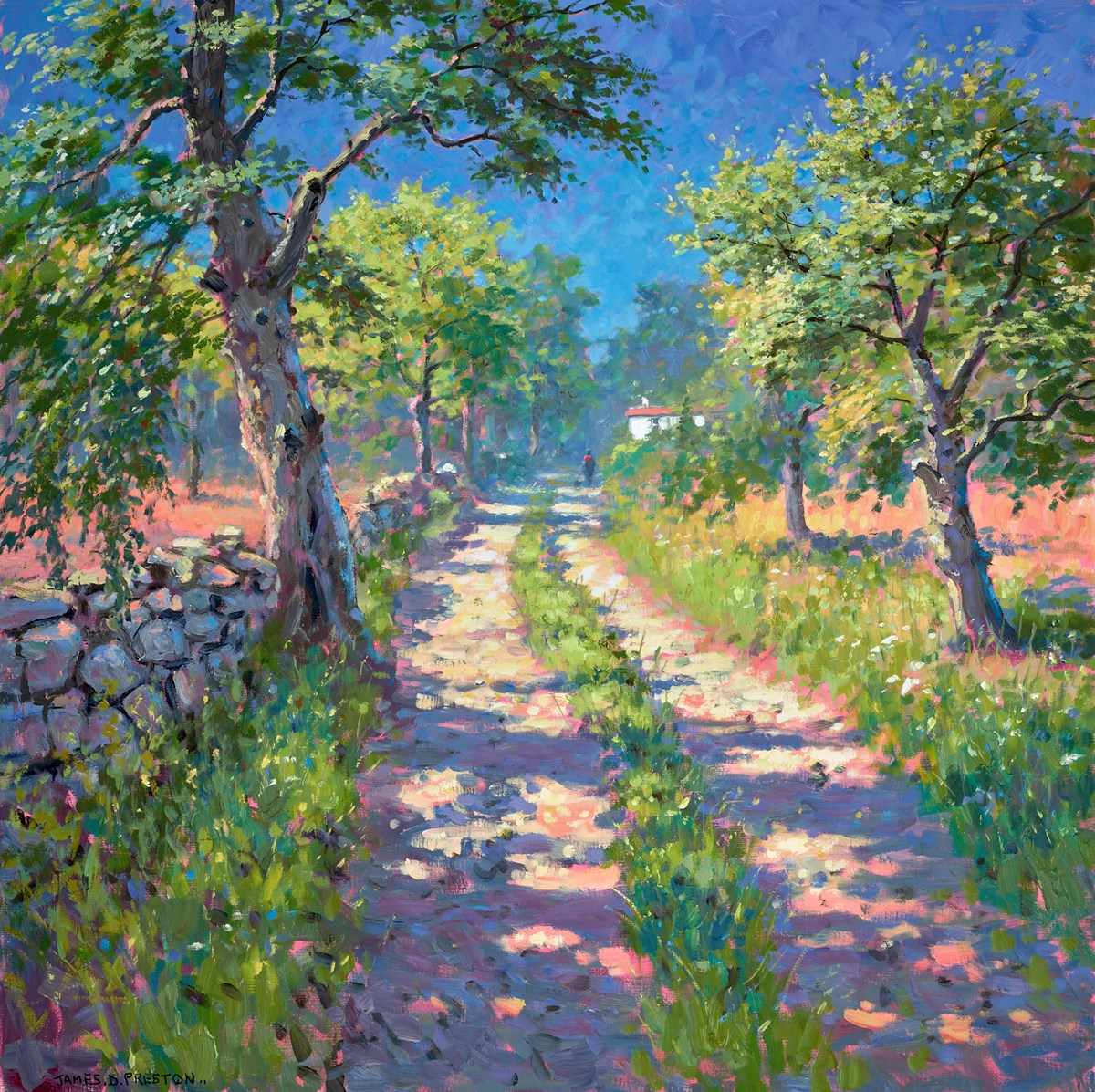 Sunny Lane (portugal)