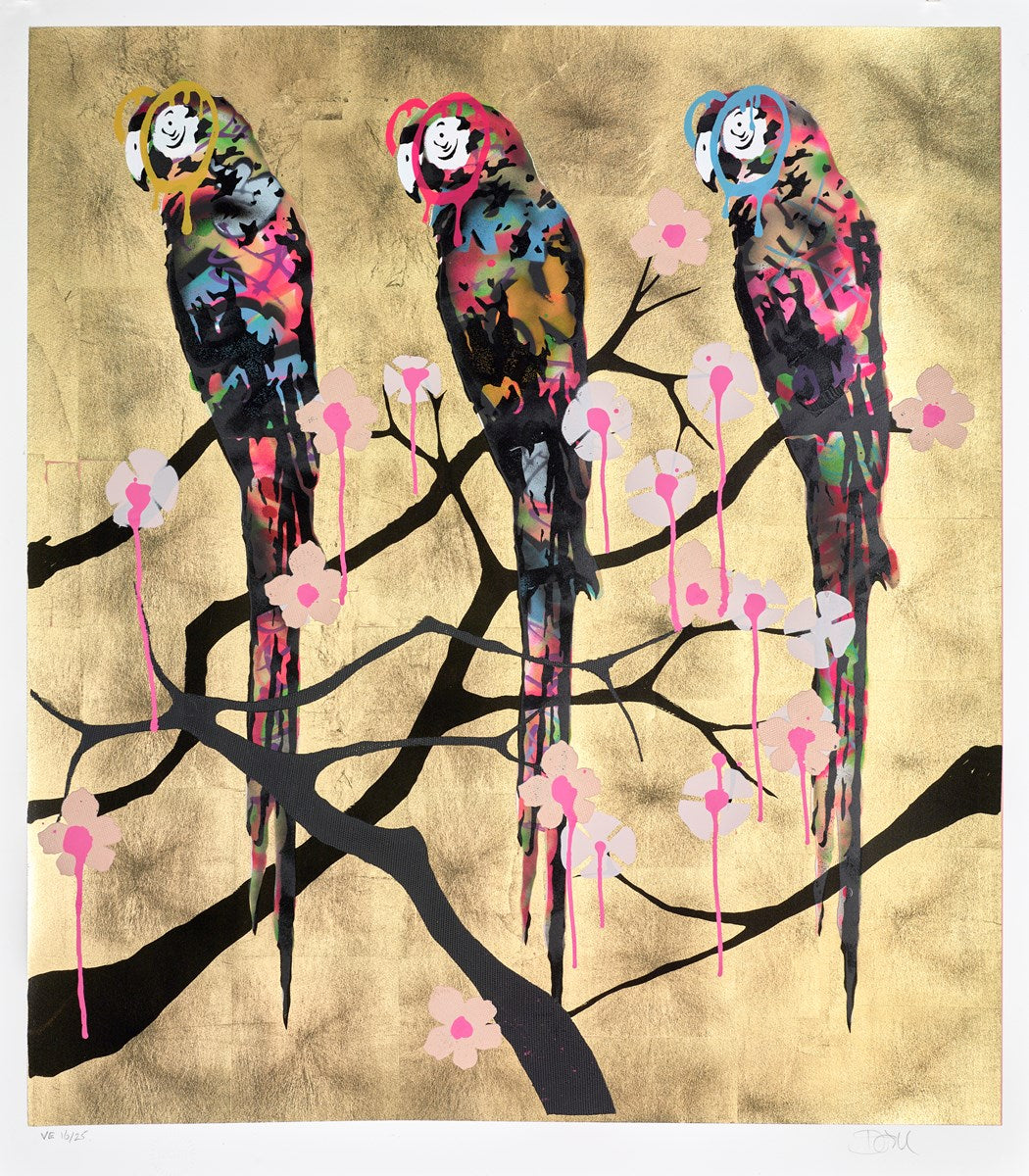 Polly Folly 16/25