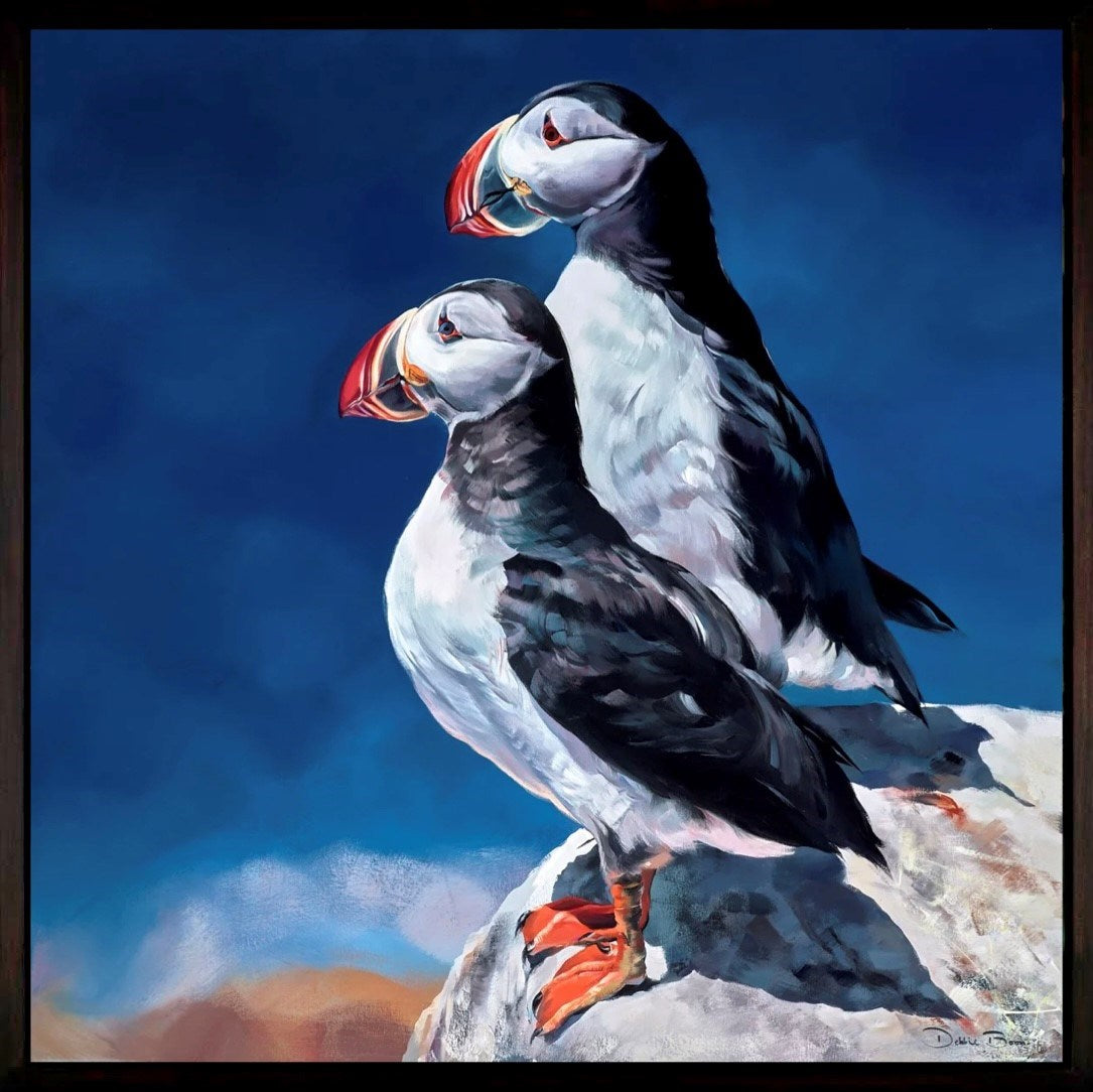Puffin Pair (Framed)
