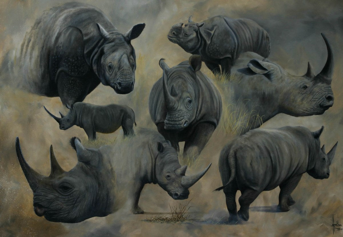White, Black and Asian Rhino Study