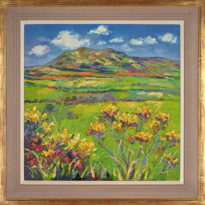 Early Summer , Criffel , Dumfriesshire