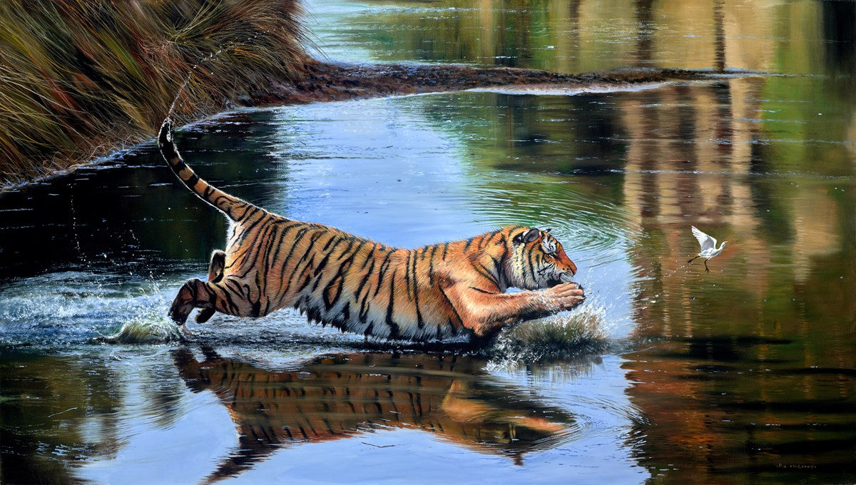 Tiger Dreams
