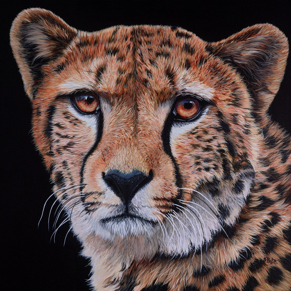 Intensity