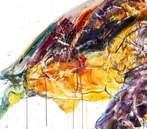 Sea Turtle 2020 (AP) (Detail2)