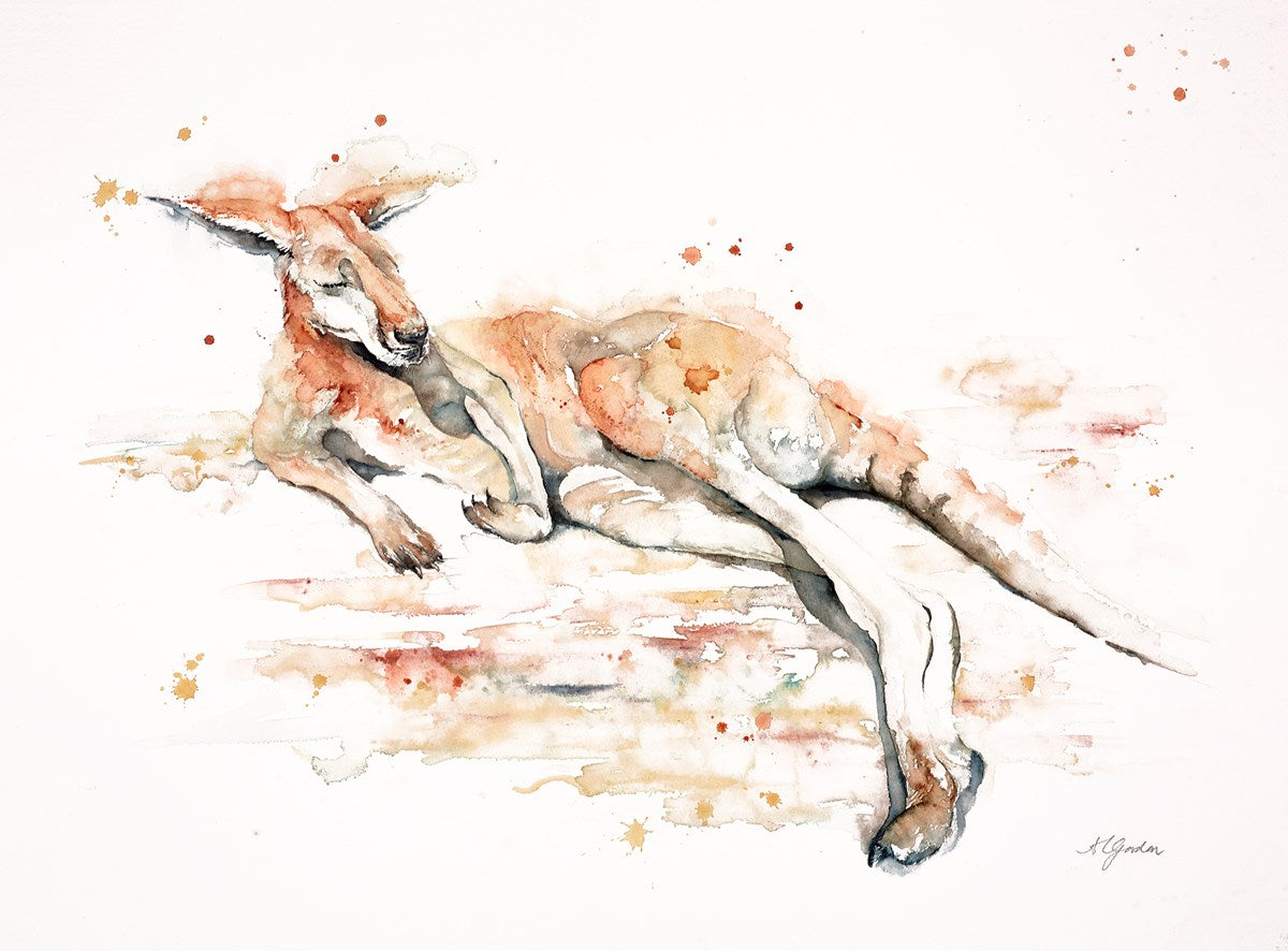 Sunbathing Kangaroo