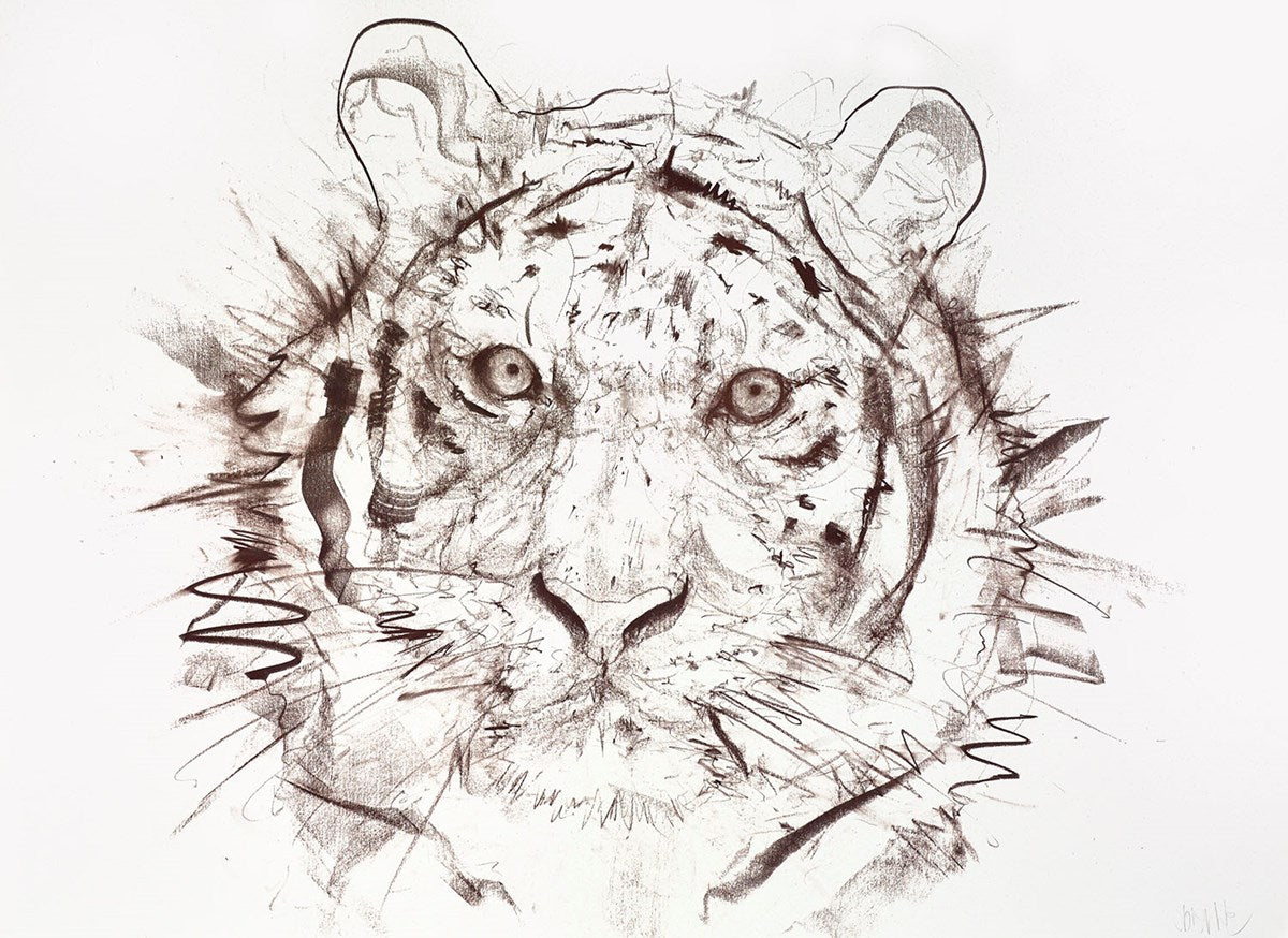 Tiger Study I