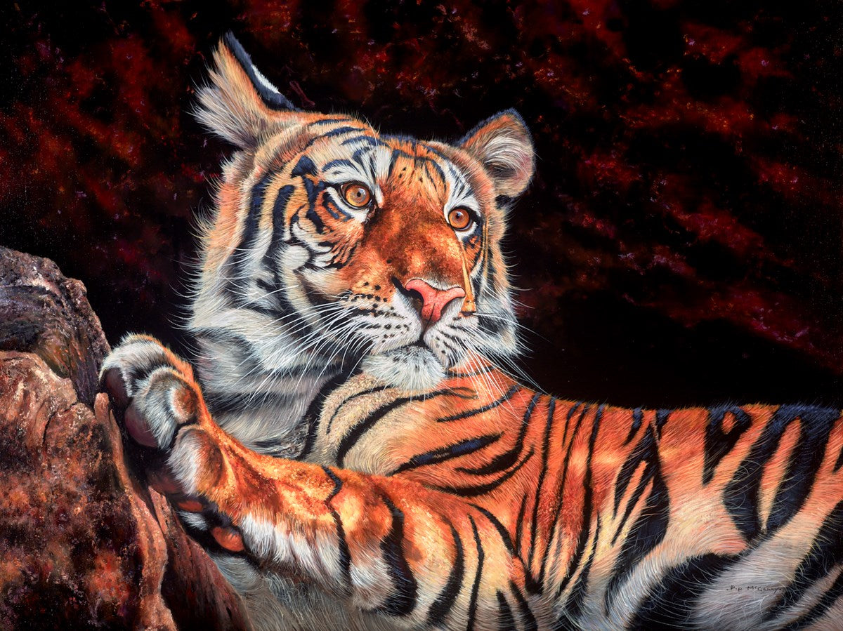 Bengal Beauty