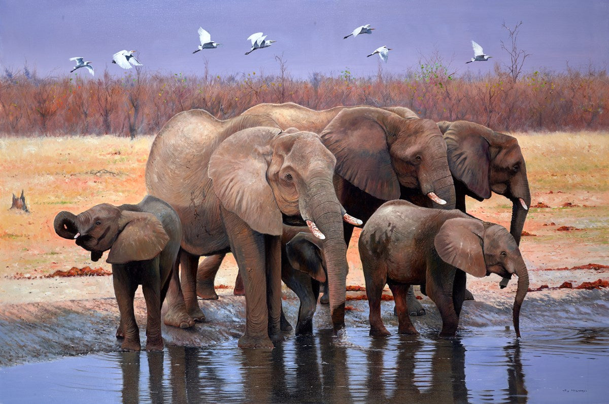 Marabou Pan, Botswana