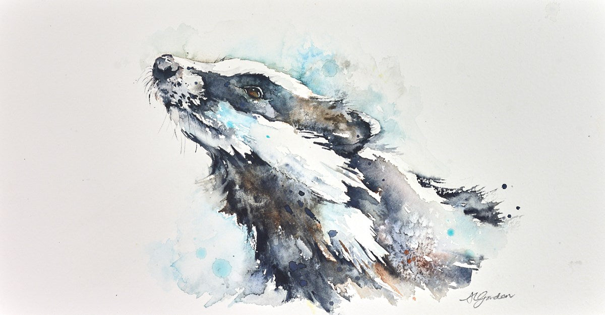 Smelling the Morning - Young Badger
