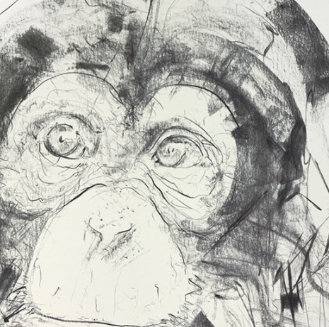 Chimp Study V (Detail1)
