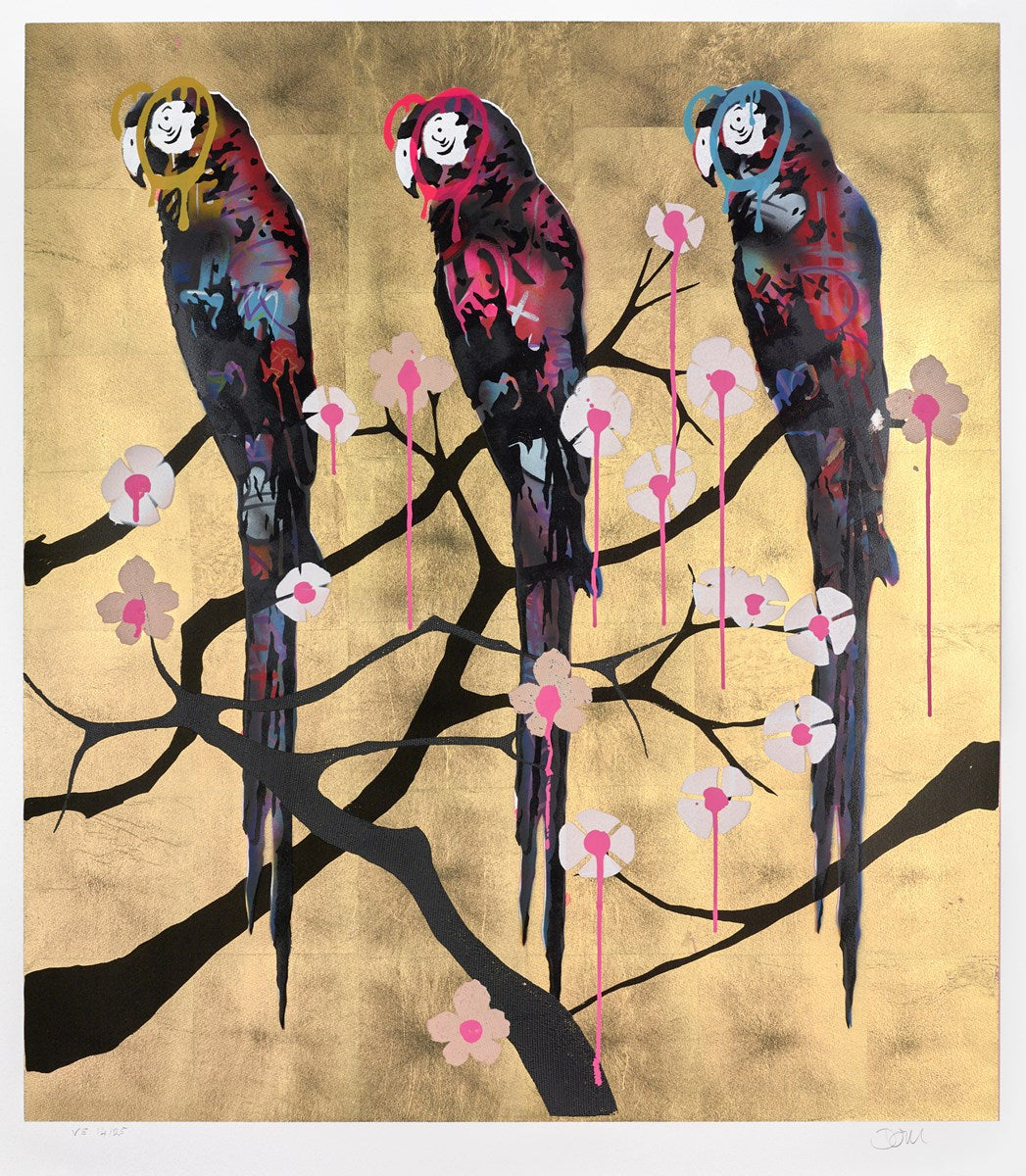 Polly Folly 14/25