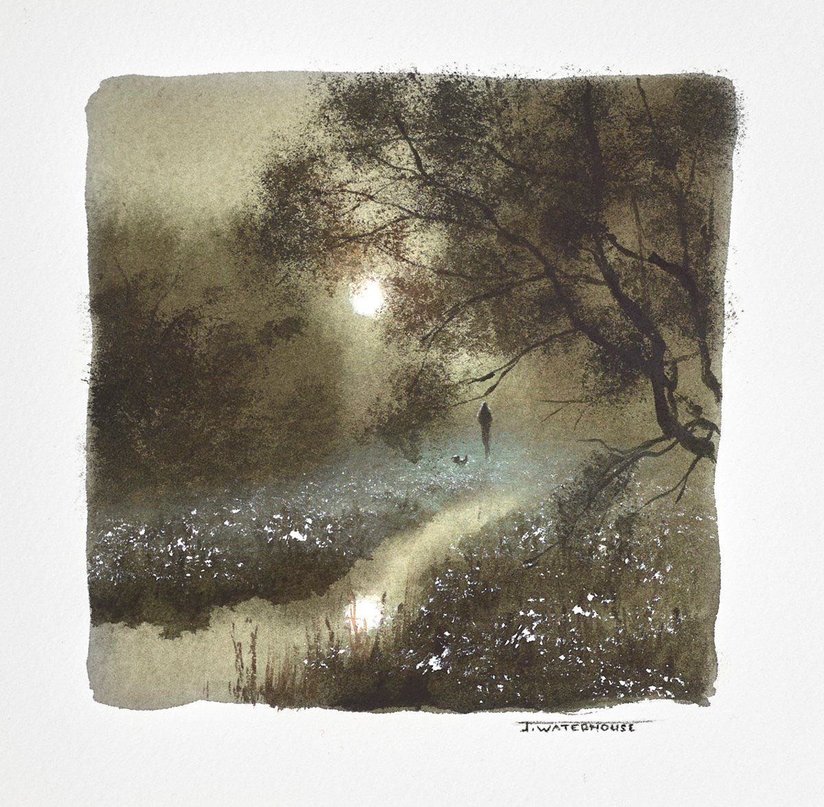 A Walk in the Woods (study)