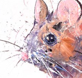Love Everything (Detail1)