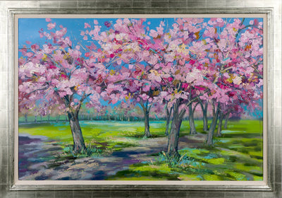 Cherry Blossom Walk