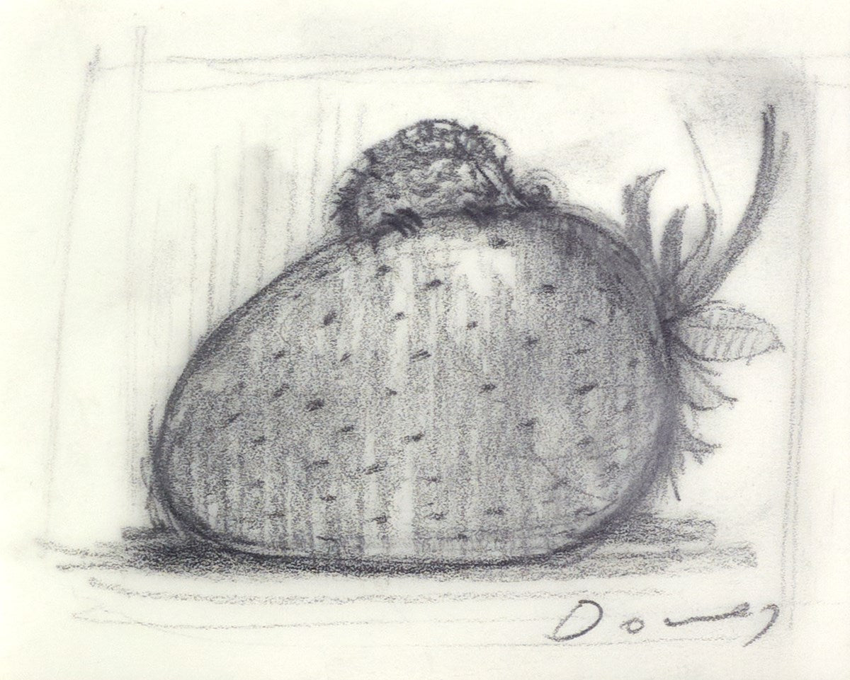 Strawberry and Dreams V (Sketch)