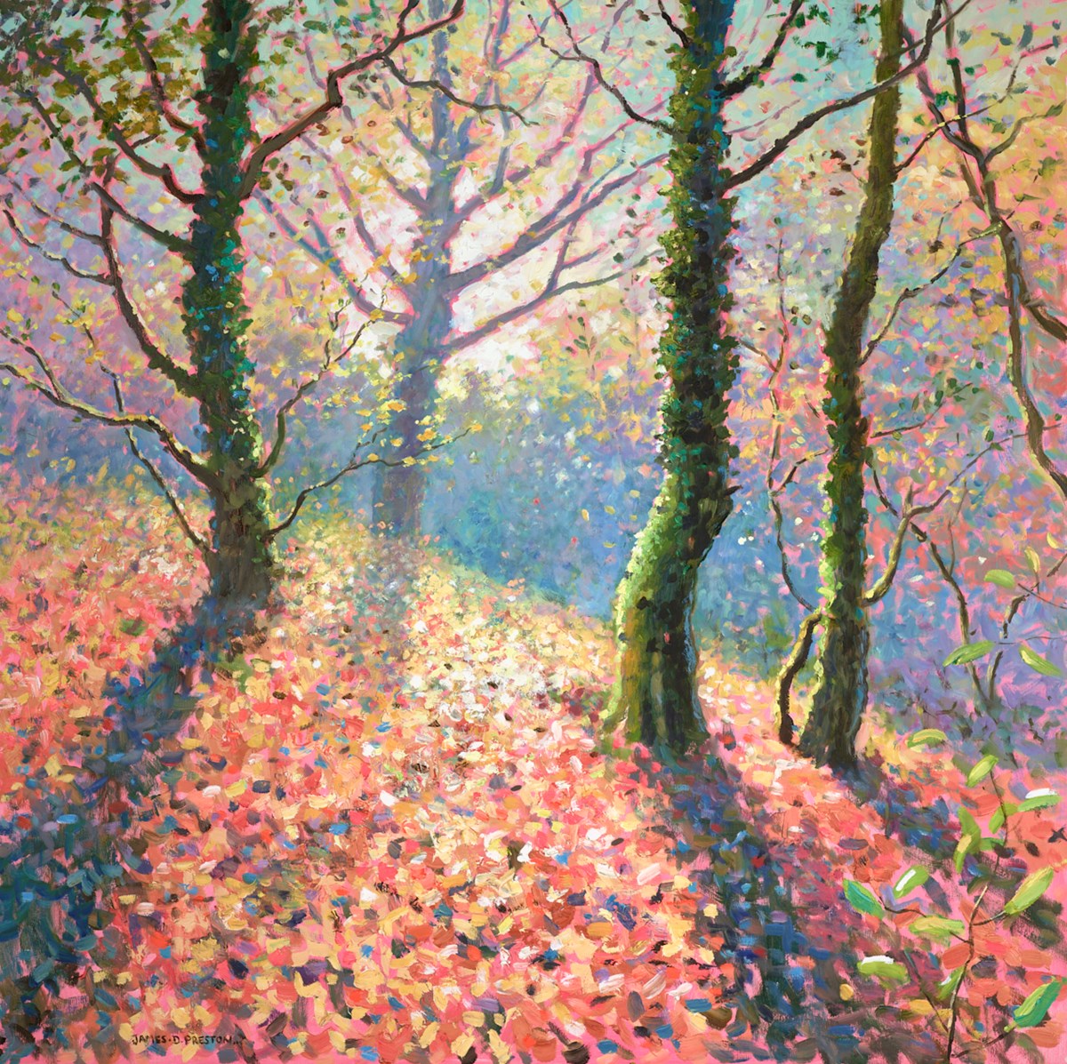 Light (dark lane)