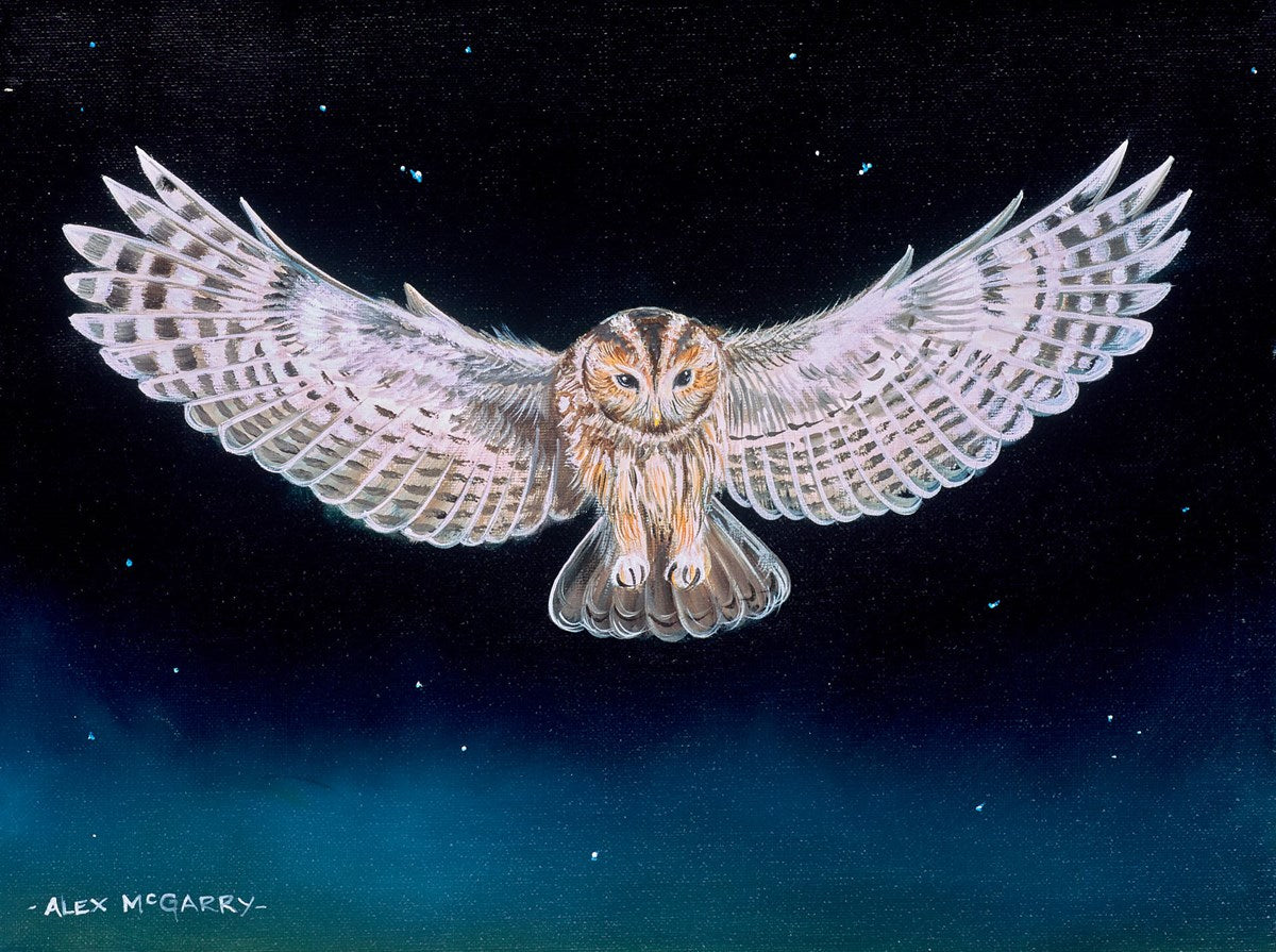 Swooping Owl