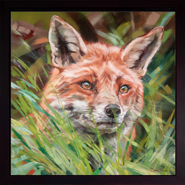 Fox In Long Grass