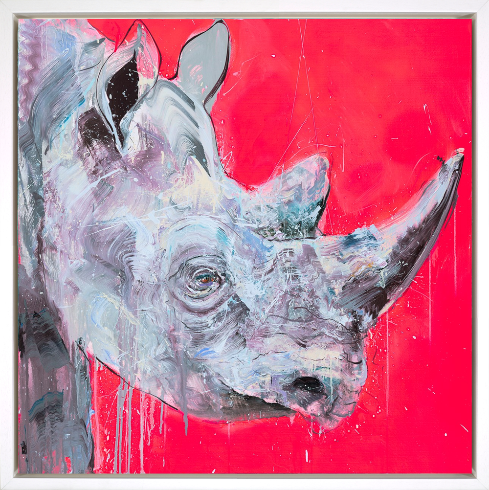 Black Rhino