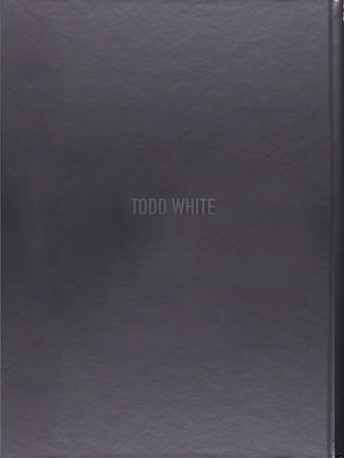 The Devil’S In The Detail (Limited Edition)