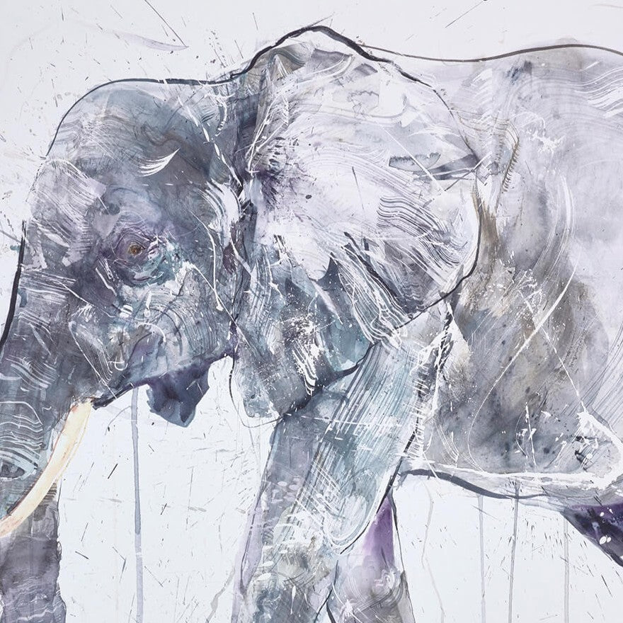 Elephant And Calf