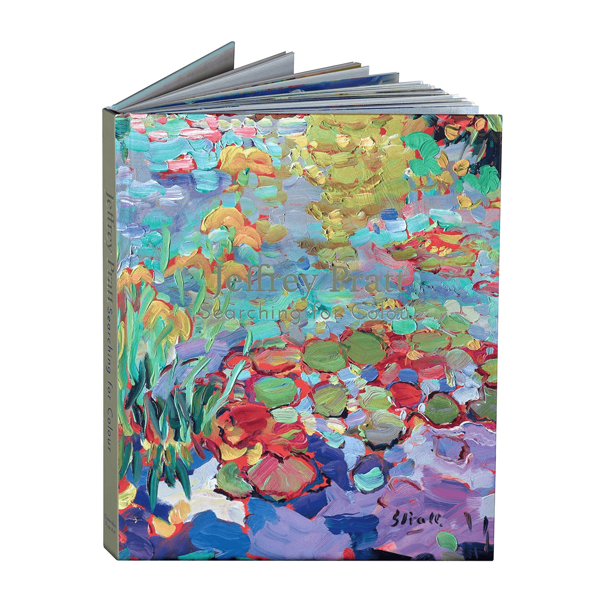 Searching For Colour (Book)