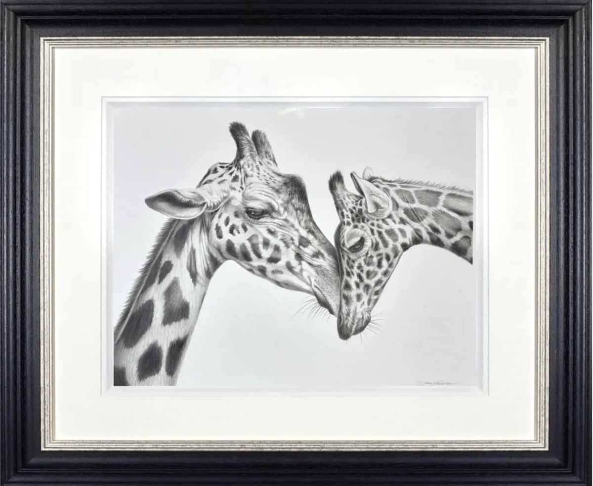 Giraffe Love (Framed)