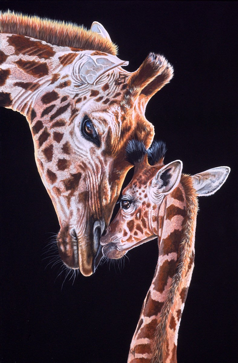 Tenderness