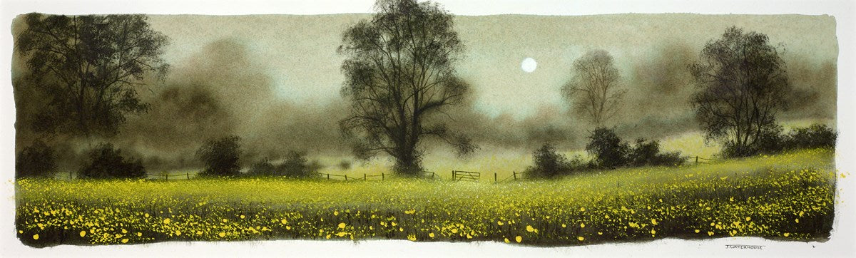 Buttercups (study)