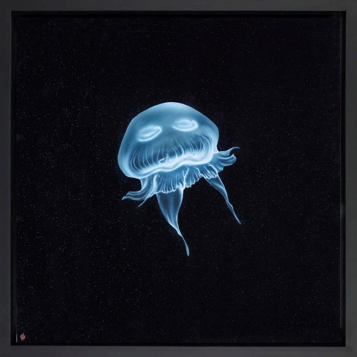 Jelly Galaxy (Framed)