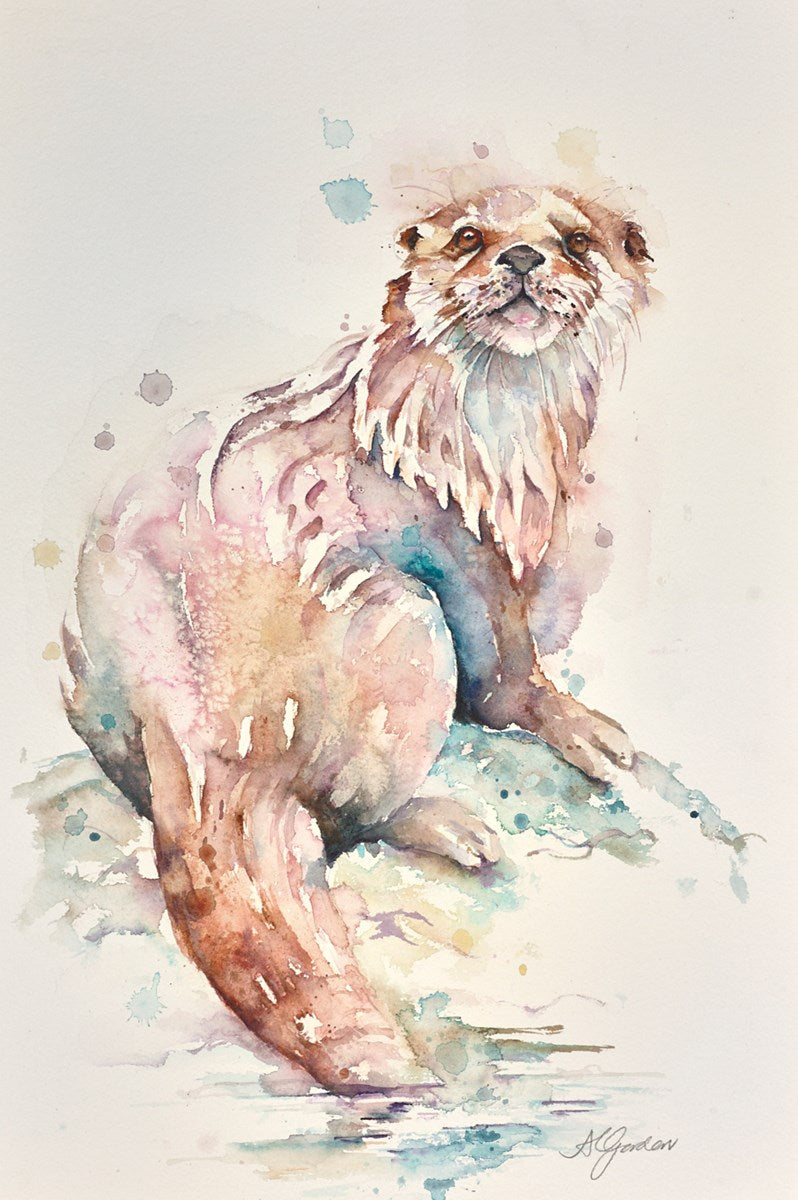 Fine Young Otter