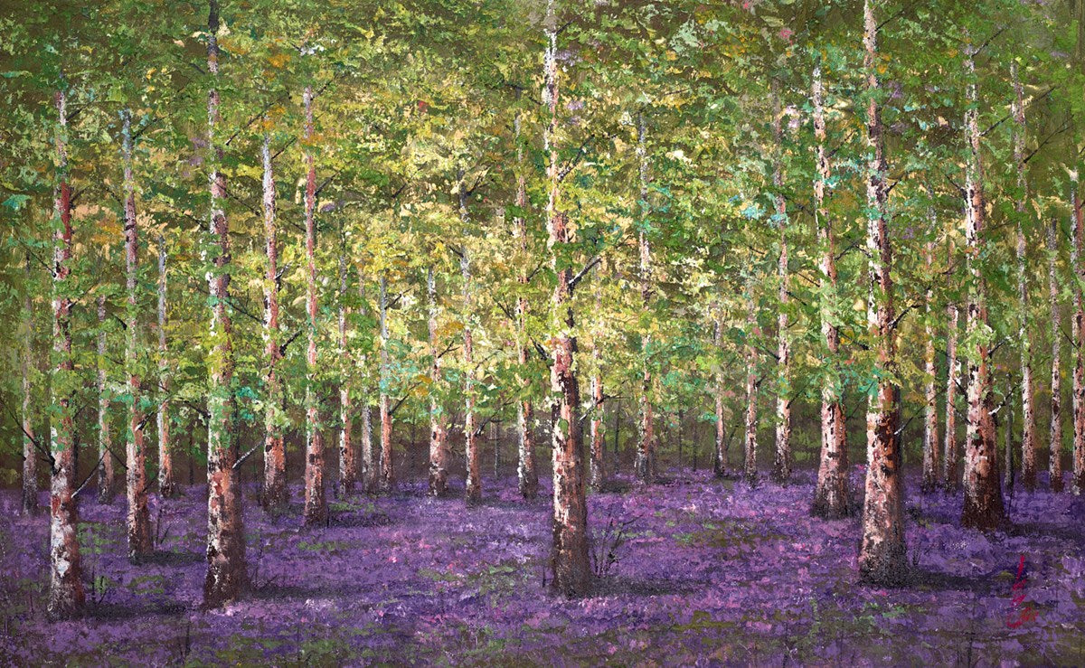 Enchanted Forest