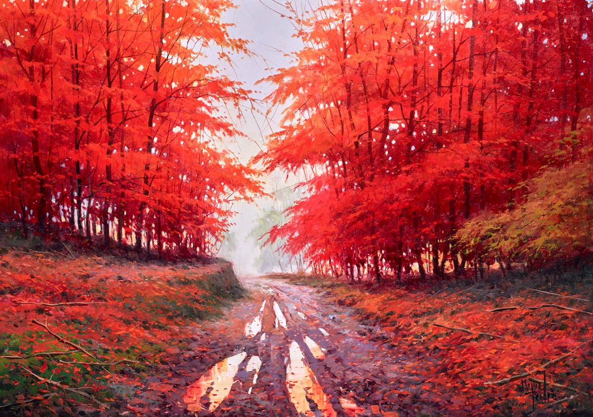 Otoño en Navarra
