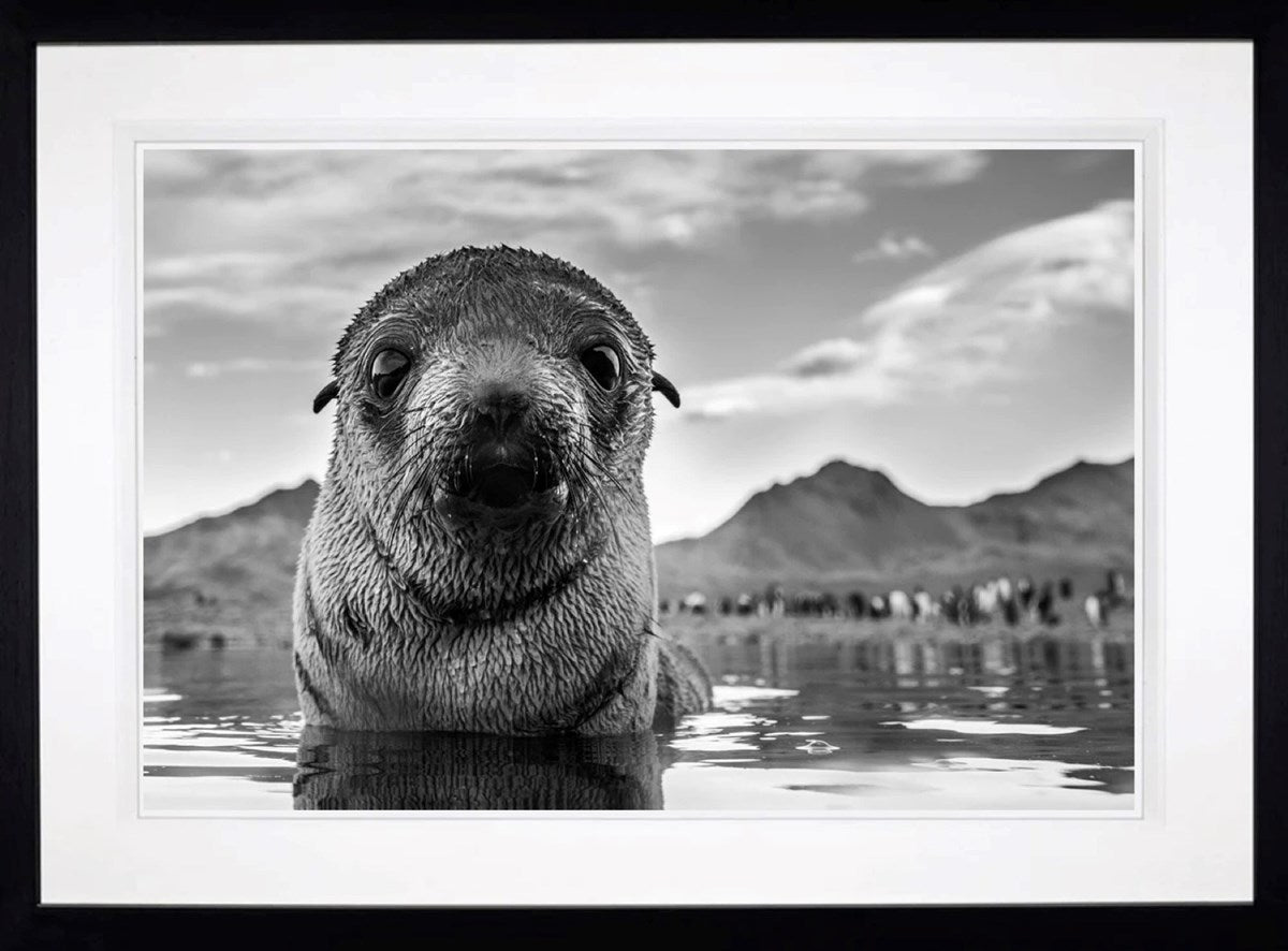From The Brink (Framed)